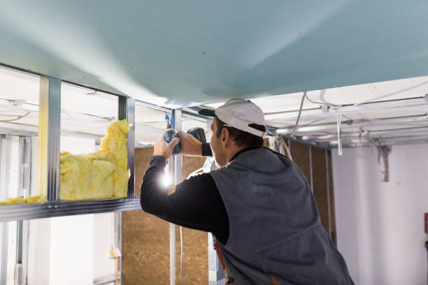 Best Eco-Friendly Insulation in Marks, MS