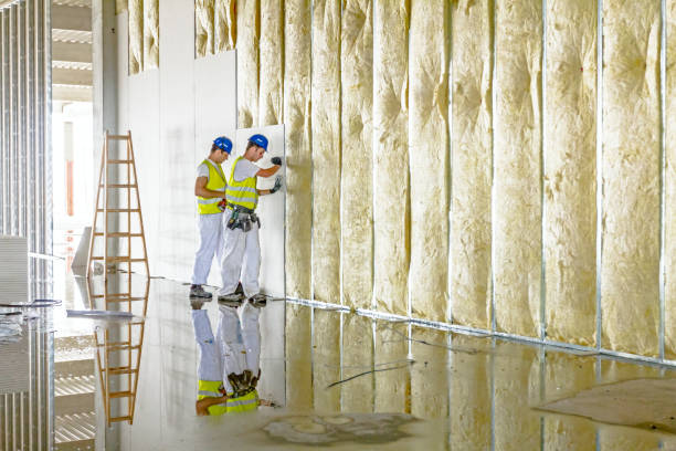 Best Specialized Insulation Services in Marks, MS